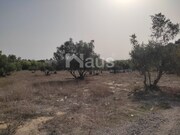 Terreno Rstico - Santo Antnio da Charneca, Barreiro, Setbal - Miniatura: 7/9