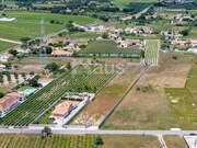 Terreno Urbano - Pinhal Novo, Palmela, Setbal - Miniatura: 3/9