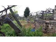 Terreno Rstico - Ancede, Baio, Porto - Miniatura: 4/6