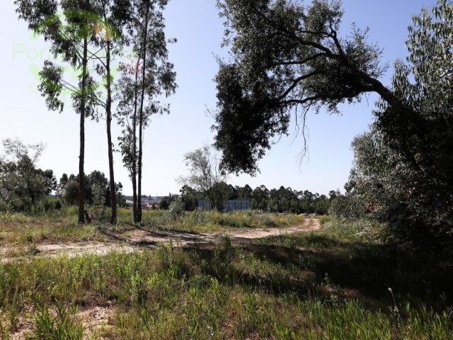 Terreno Rstico - Santa Maria de Lamas, Santa Maria da Feira, Aveiro - Imagem grande