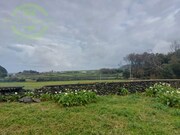 Terreno Rstico - Biscoitos, Praia da Vitria, Ilha Terceira - Miniatura: 3/9