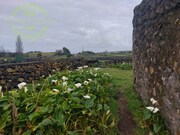 Terreno Rstico - Biscoitos, Praia da Vitria, Ilha Terceira - Miniatura: 7/9
