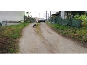 Terreno Rstico - Lordelo, Paredes, Porto - Miniatura: 5/9