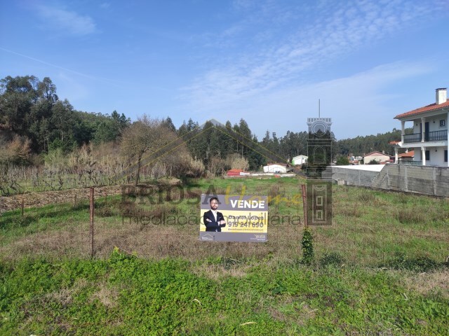 Terreno Rstico - Taveiro, Coimbra, Coimbra - Imagem grande