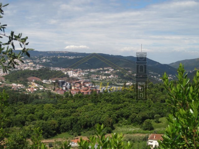 Terreno Rstico - Santa Clara, Coimbra, Coimbra - Imagem grande