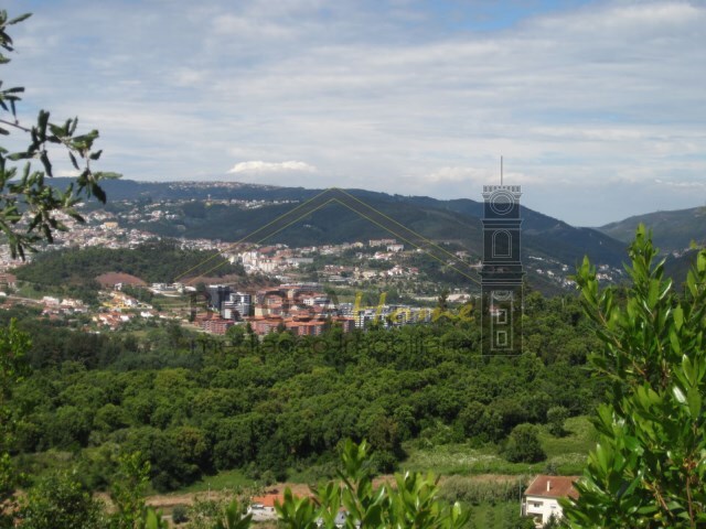 Terreno Rstico - Santa Clara, Coimbra, Coimbra - Imagem grande
