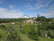 Terreno Rstico - Santa Clara, Coimbra, Coimbra - Miniatura: 5/9