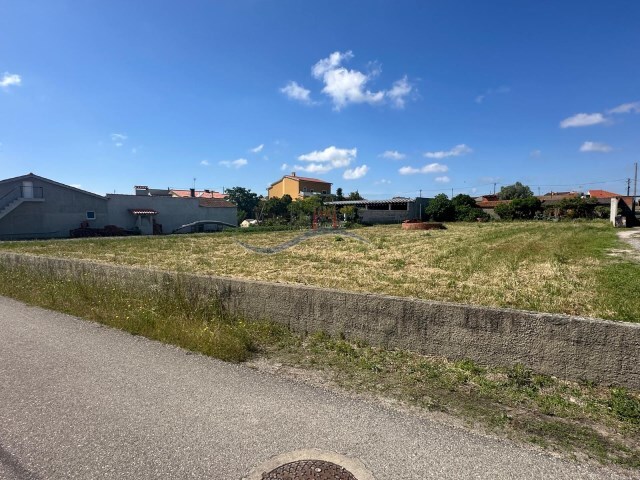 Terreno Rústico - Monte Redondo, Leiria, Leiria - Imagem grande