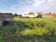Terreno Rstico - Souto da Carpalhosa, Leiria, Leiria - Miniatura: 8/8