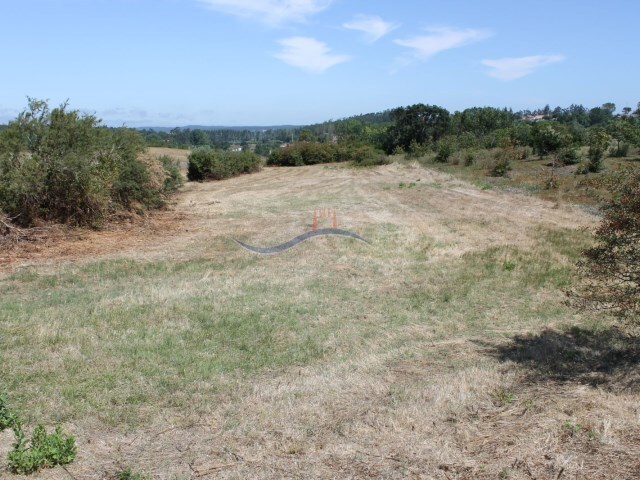Terreno Rstico - Monte Real, Leiria, Leiria - Imagem grande
