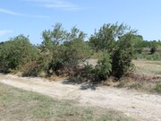 Terreno Rstico - Monte Real, Leiria, Leiria - Miniatura: 1/2