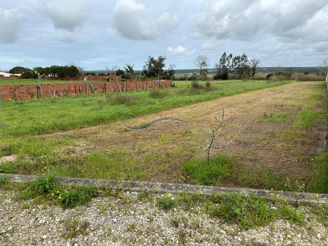 Terreno Rstico - Monte Real, Leiria, Leiria - Imagem grande