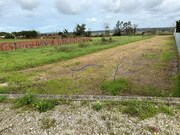Terreno Rstico - Monte Real, Leiria, Leiria - Miniatura: 1/7