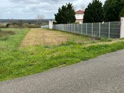 Terreno Rstico - Monte Real, Leiria, Leiria - Miniatura: 3/7