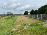 Terreno Rstico - Monte Real, Leiria, Leiria - Miniatura: 4/7