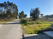 Terreno Rstico - Monte Real, Leiria, Leiria - Miniatura: 5/9