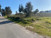 Terreno Rstico - Monte Real, Leiria, Leiria - Miniatura: 6/9
