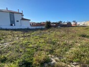 Terreno Rstico - Monte Real, Leiria, Leiria - Miniatura: 7/9