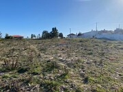 Terreno Rstico - Monte Real, Leiria, Leiria - Miniatura: 8/9