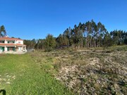 Terreno Rstico - Monte Real, Leiria, Leiria - Miniatura: 9/9
