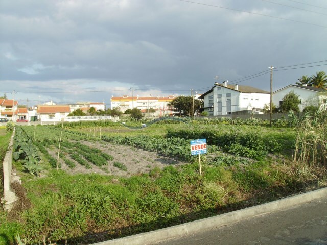 Terreno Rstico - Vieira de Leiria, Marinha Grande, Leiria - Imagem grande