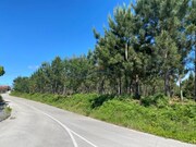 Terreno Rstico - Monte Real, Leiria, Leiria - Miniatura: 1/9