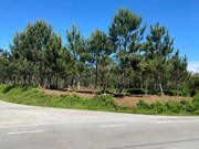 Terreno Rstico - Monte Real, Leiria, Leiria - Miniatura: 4/9