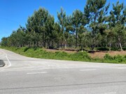 Terreno Rstico - Monte Real, Leiria, Leiria - Miniatura: 5/9