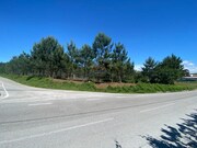Terreno Rstico - Monte Real, Leiria, Leiria - Miniatura: 6/9