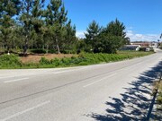 Terreno Rstico - Monte Real, Leiria, Leiria - Miniatura: 7/9