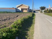 Terreno Rstico - Monte Real, Leiria, Leiria - Miniatura: 2/9