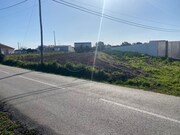 Terreno Rstico - Monte Real, Leiria, Leiria - Miniatura: 4/9