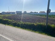Terreno Rstico - Monte Real, Leiria, Leiria - Miniatura: 5/9