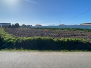 Terreno Rstico - Monte Real, Leiria, Leiria - Miniatura: 6/9