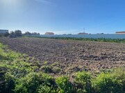 Terreno Rstico - Monte Real, Leiria, Leiria - Miniatura: 7/9