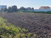 Terreno Rstico - Monte Real, Leiria, Leiria - Miniatura: 8/9