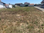 Terreno Rstico - Monte Real, Leiria, Leiria - Miniatura: 3/3