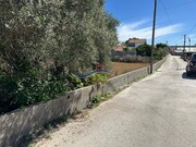 Terreno Rstico - Souto da Carpalhosa, Leiria, Leiria - Miniatura: 6/7