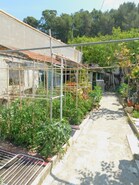 Terreno R�stico > T6 - Costa da Caparica, Almada, Set�bal - Miniatura: 15/25