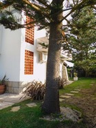 Moradia - Colares, Sintra, Lisboa - Miniatura: 10/33