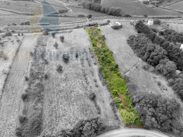 Terreno Rstico - Azueira, Mafra, Lisboa - Imagem grande