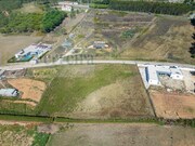 Terreno Rstico - Campelos, Torres Vedras, Lisboa - Miniatura: 7/9