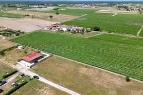 Terreno R�stico - Poceir�o, Palmela, Set�bal - Miniatura: 7/13