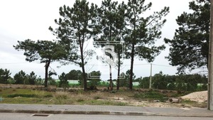 Terreno Rstico T0 - Quinta do Anjo, Palmela, Setbal - Miniatura: 4/7