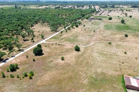 Terreno R�stico - Poceir�o, Palmela, Set�bal - Miniatura: 4/13