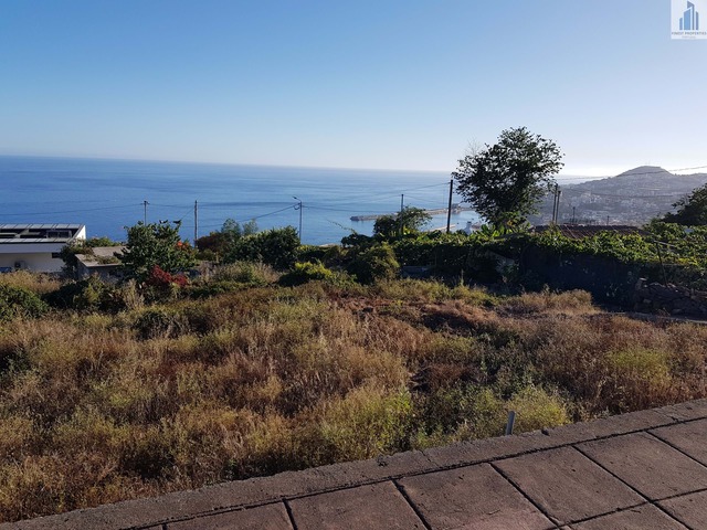 Terreno R�stico T0 - Funchal, Funchal, Ilha da Madeira - Imagem grande