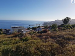 Terreno R�stico T0 - Funchal, Funchal, Ilha da Madeira - Miniatura: 5/14