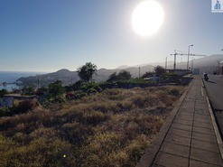 Terreno R�stico T0 - Funchal, Funchal, Ilha da Madeira - Miniatura: 6/14