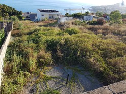 Terreno R�stico T0 - Funchal, Funchal, Ilha da Madeira - Miniatura: 7/14