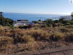 Terreno R�stico T0 - Funchal, Funchal, Ilha da Madeira - Miniatura: 12/14